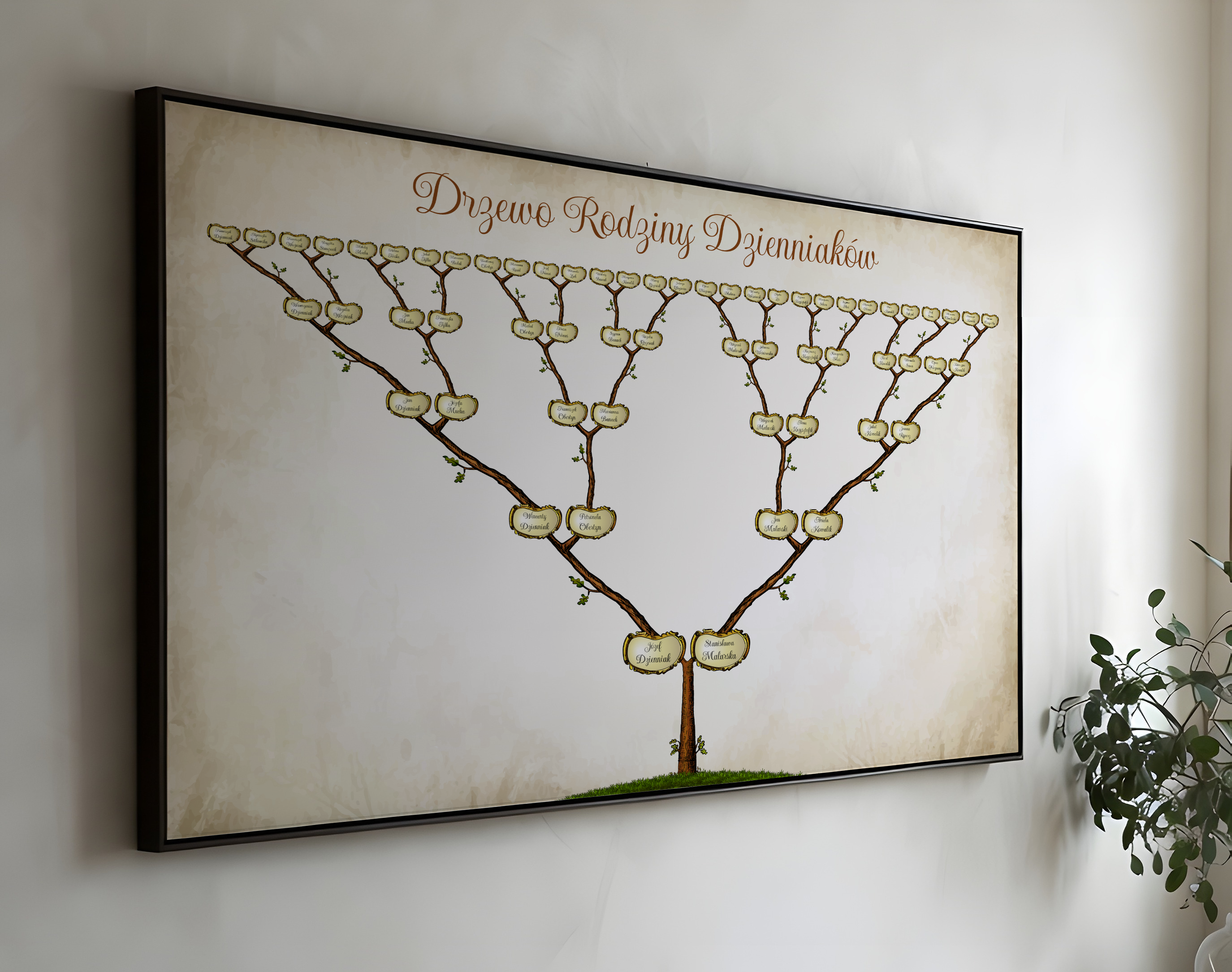 Drzewo genealogiczne